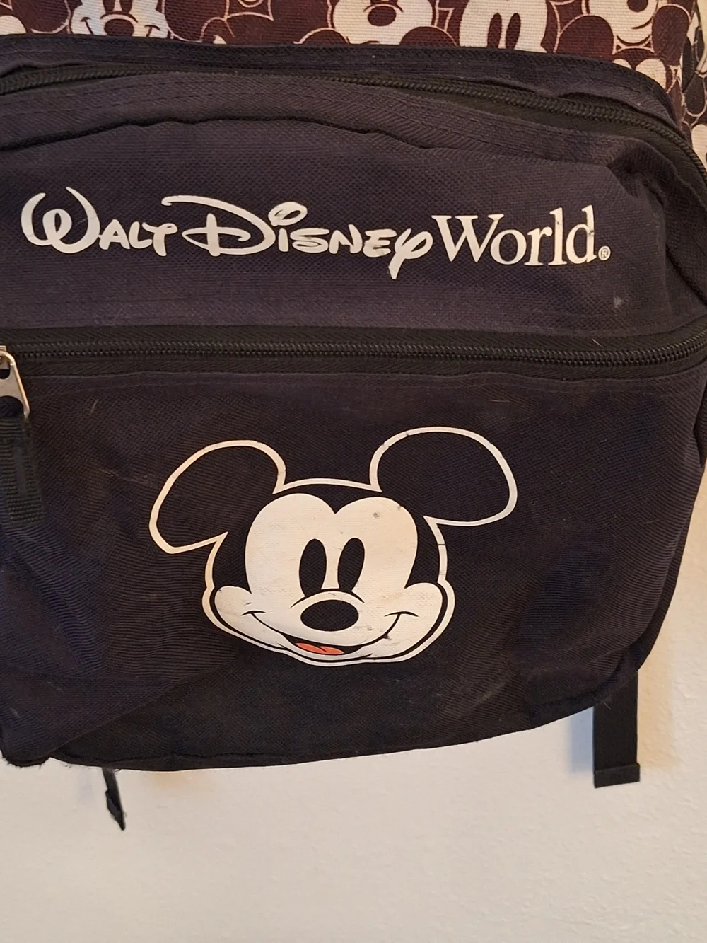 Disney authentic parks